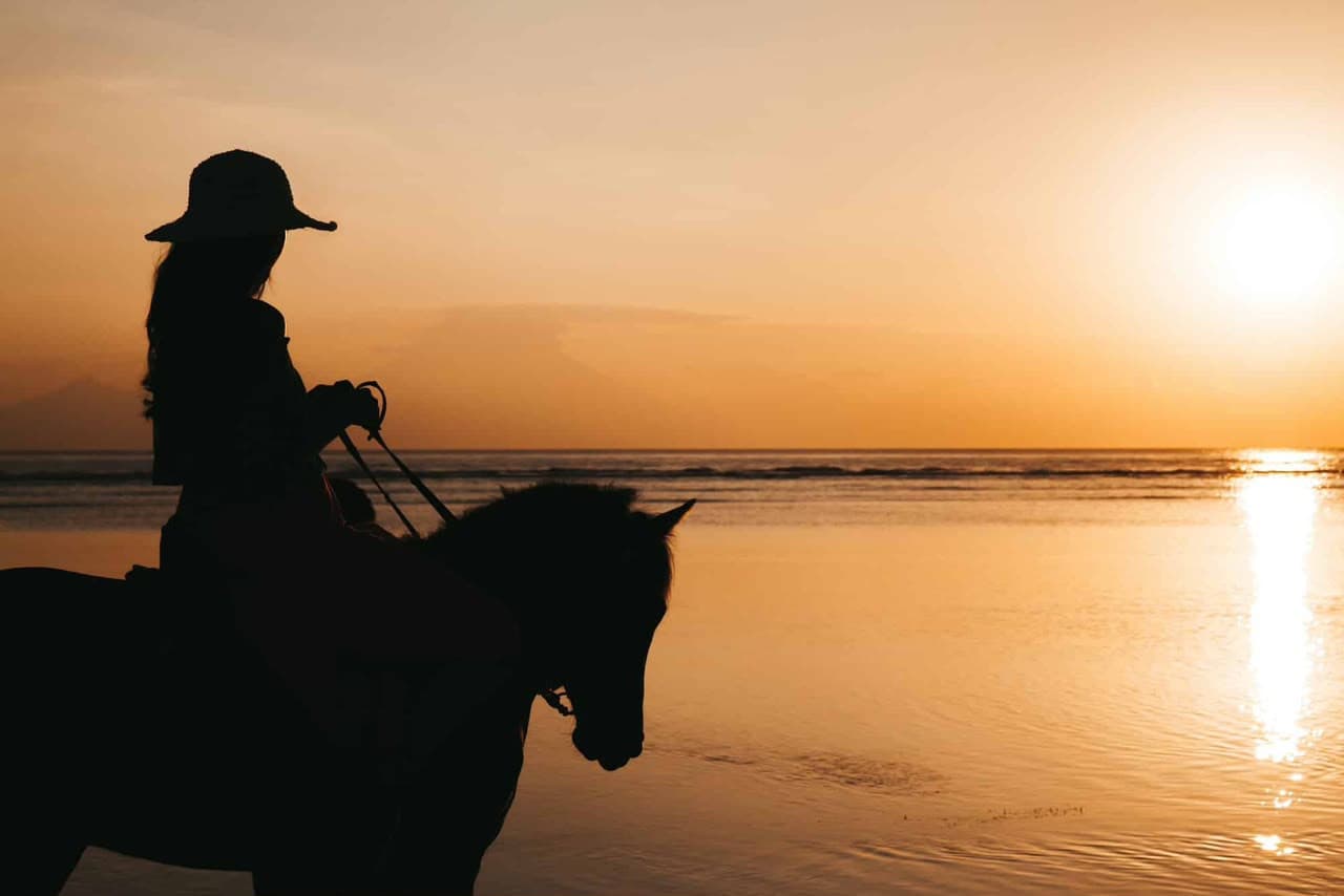 Horseback Ride
