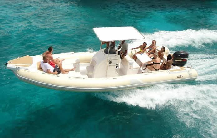 Private Speed Boat – White Island & Dolphins&snorkeling